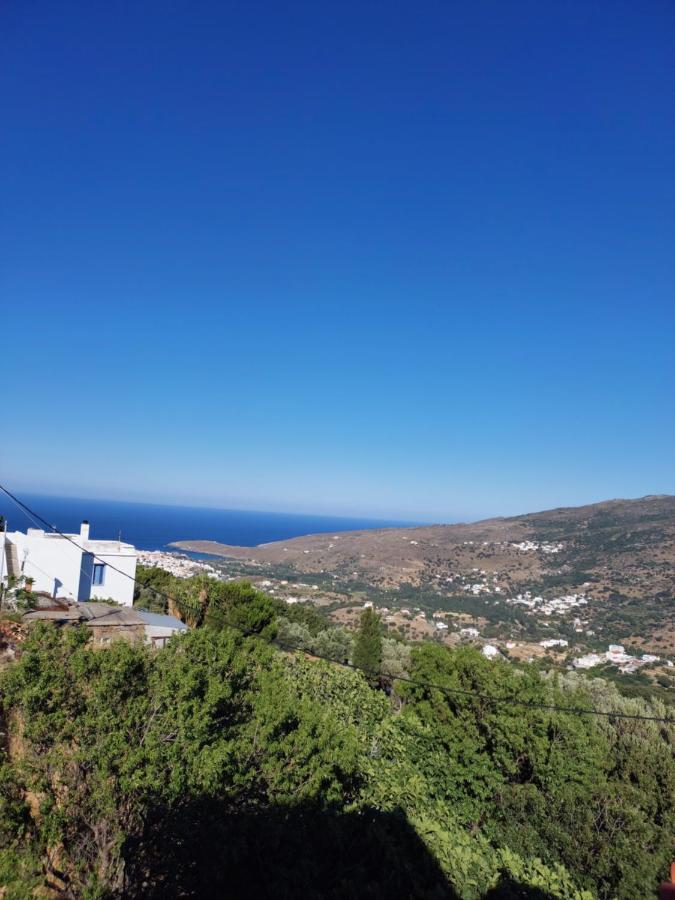Summerandros Meliti Apartment Andros Town