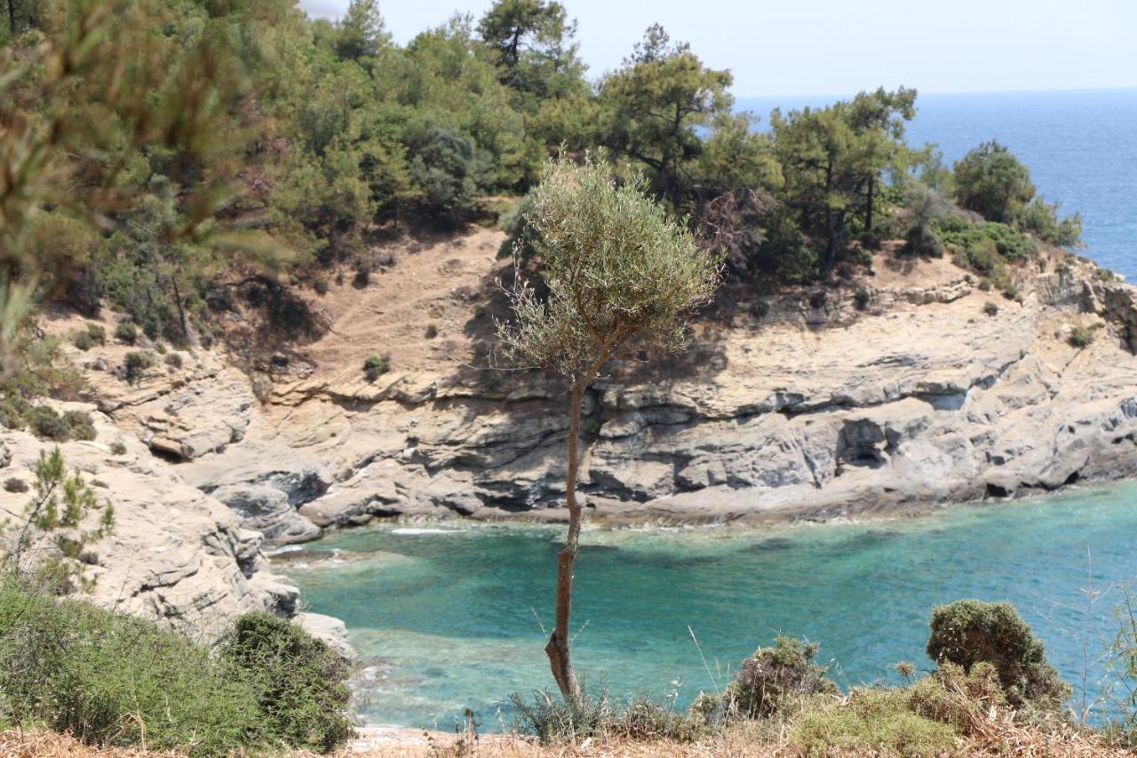 Fantasy Grand Thassos Apartment