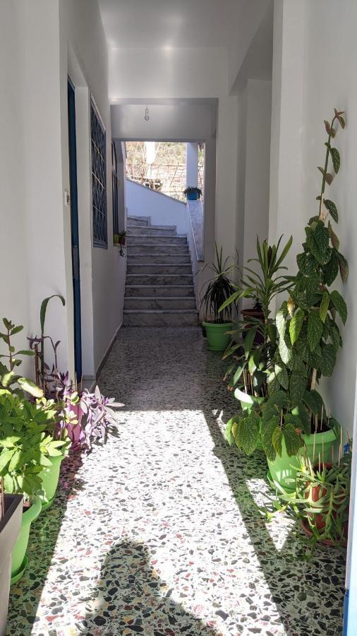 Apartment Sapho's House