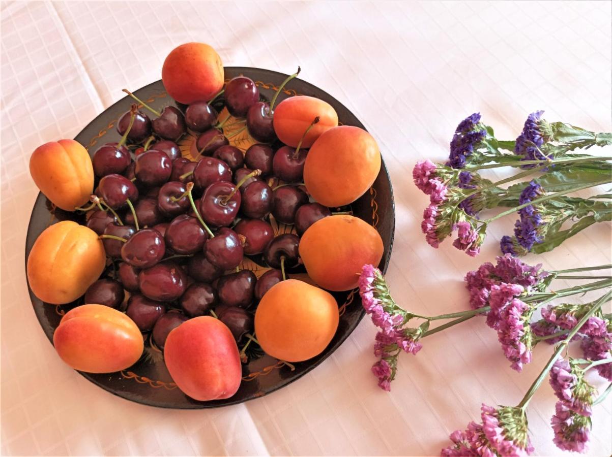 Aegean Sea Homestay Nea Makri
