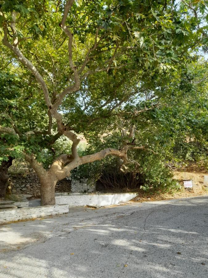 Summerandros Meliti Apartment