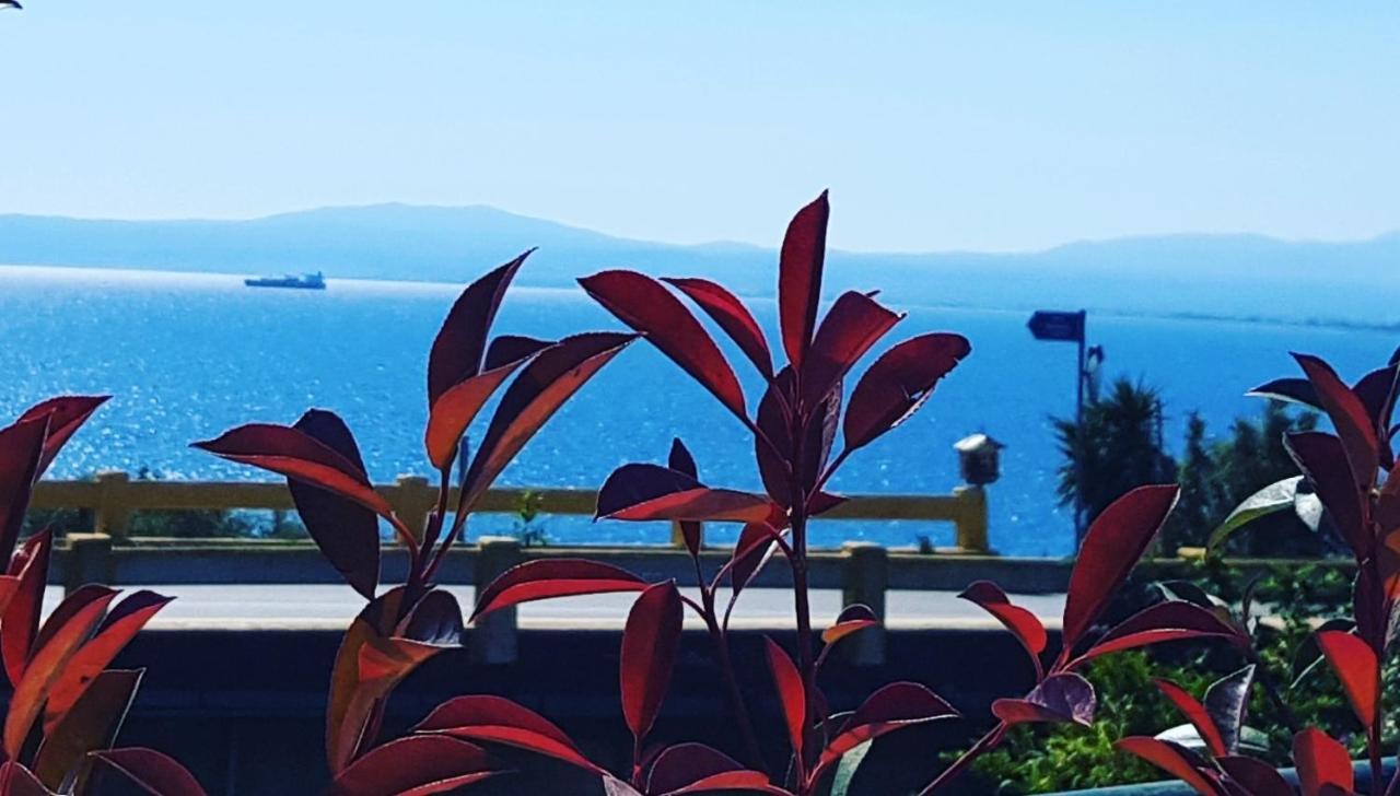 Almyros Aktis Mountain And Sea Apartment Kalamata