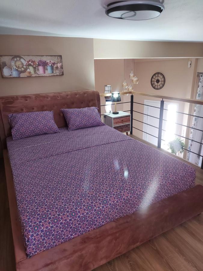 Apartment Lefis House