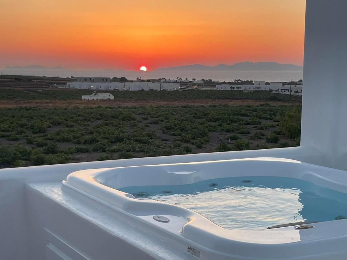 Anemi Vine Foinikia (Santorini)