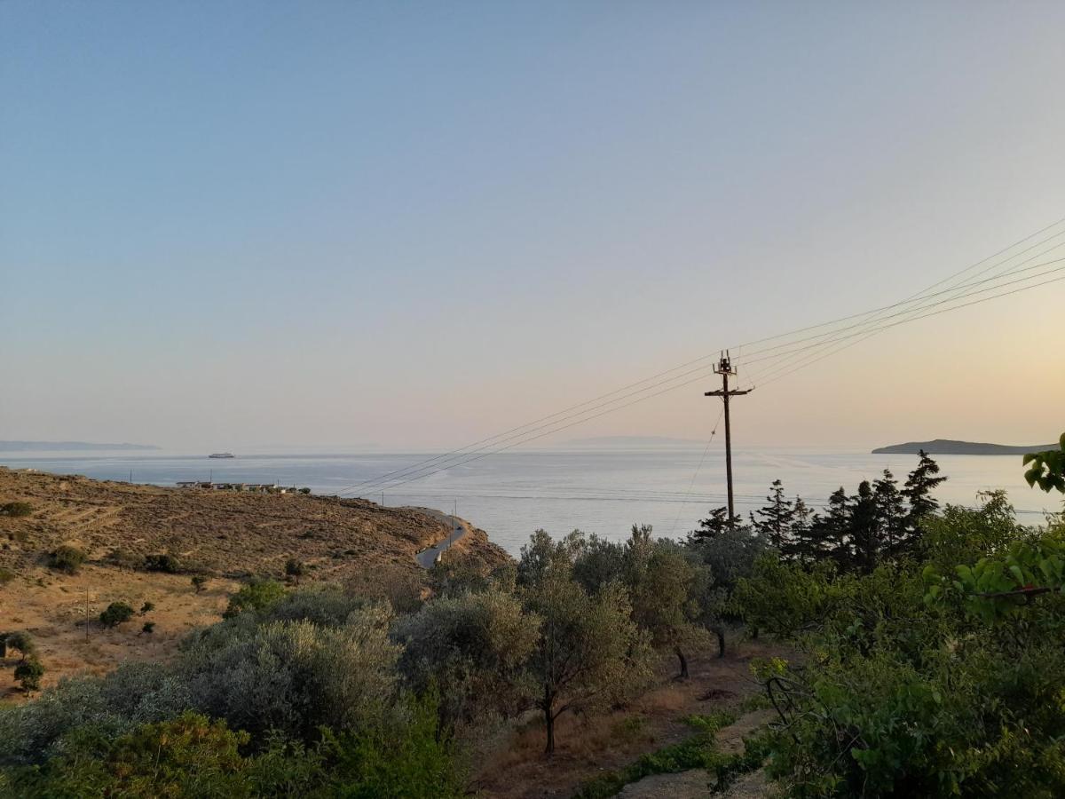 Silver View