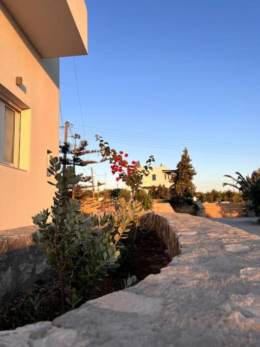 Theasis Apartment *