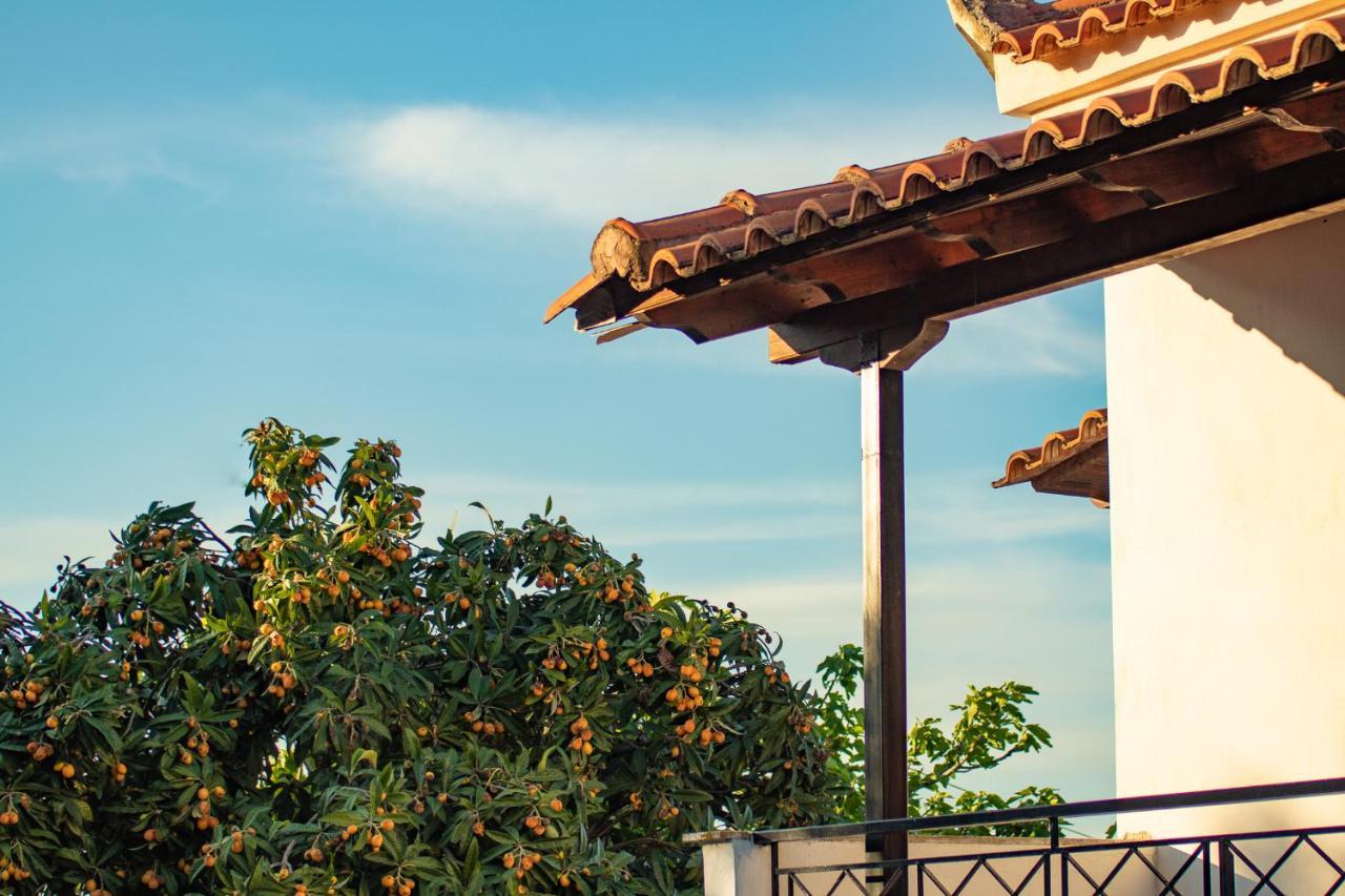Anastasia Country house Koroni (Messinia)