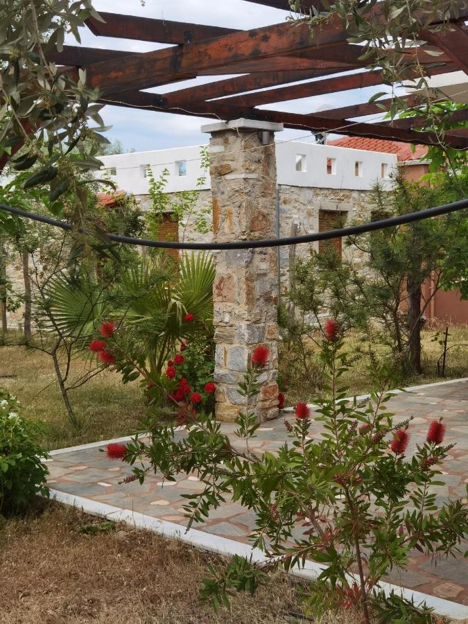 Elea Stone In Organic Quiet Olive Grove, Prinos, Thassos Villa *
