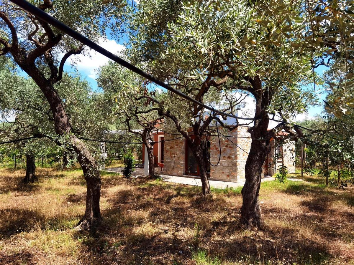 Elea Stone In Organic Quiet Olive Grove, Prinos, Thassos * Prinos (Thasos)
