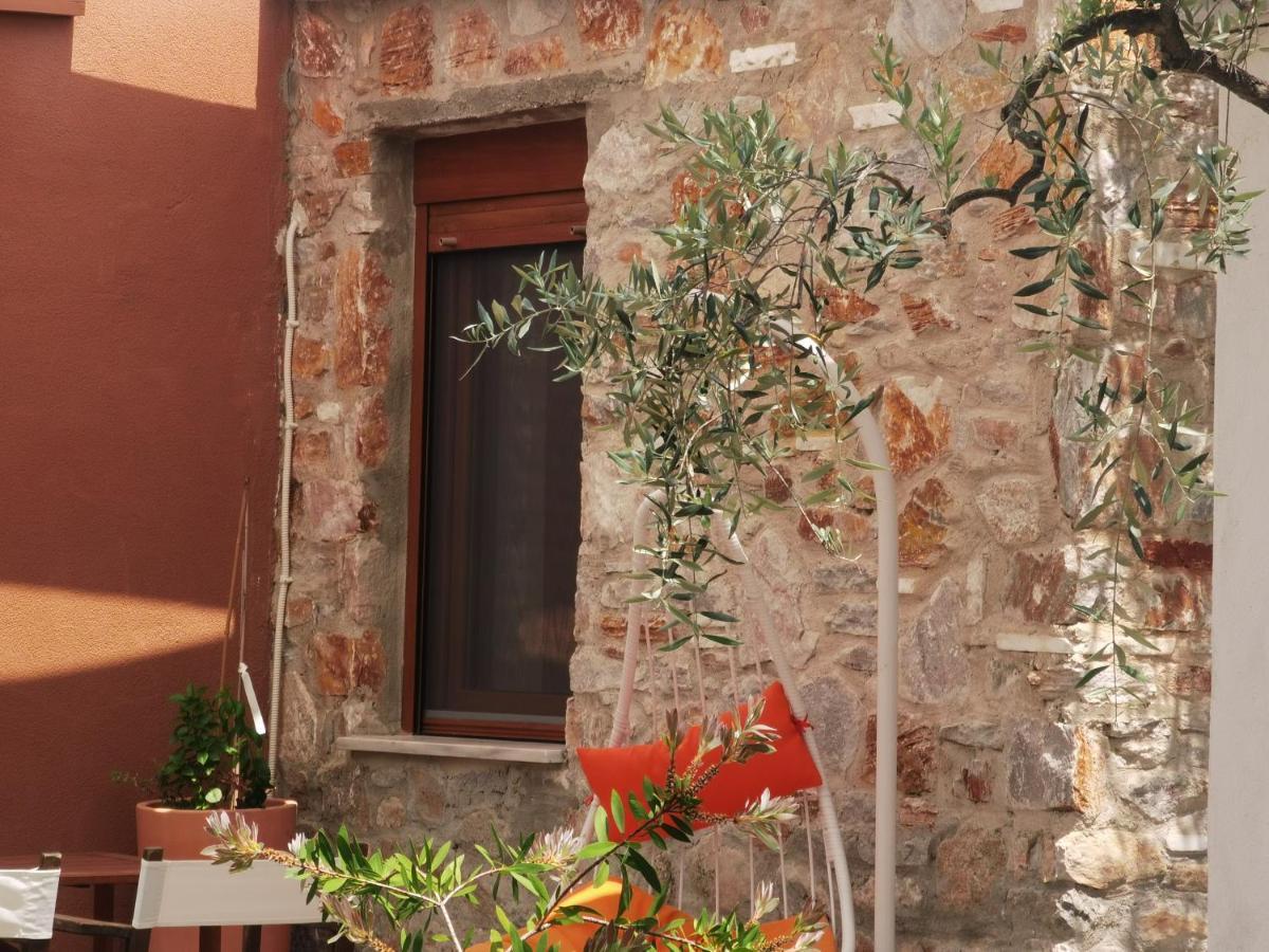 Elea Stone In Organic Quiet Olive Grove, Prinos, Thassos Prinos (Thasos)