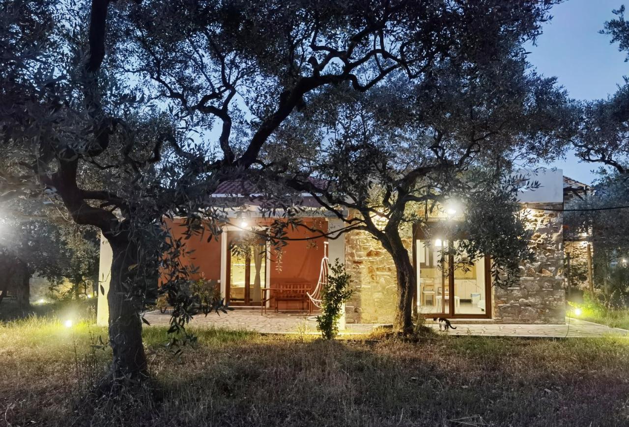 Elea Stone In Organic Quiet Olive Grove, Prinos, Thassos *