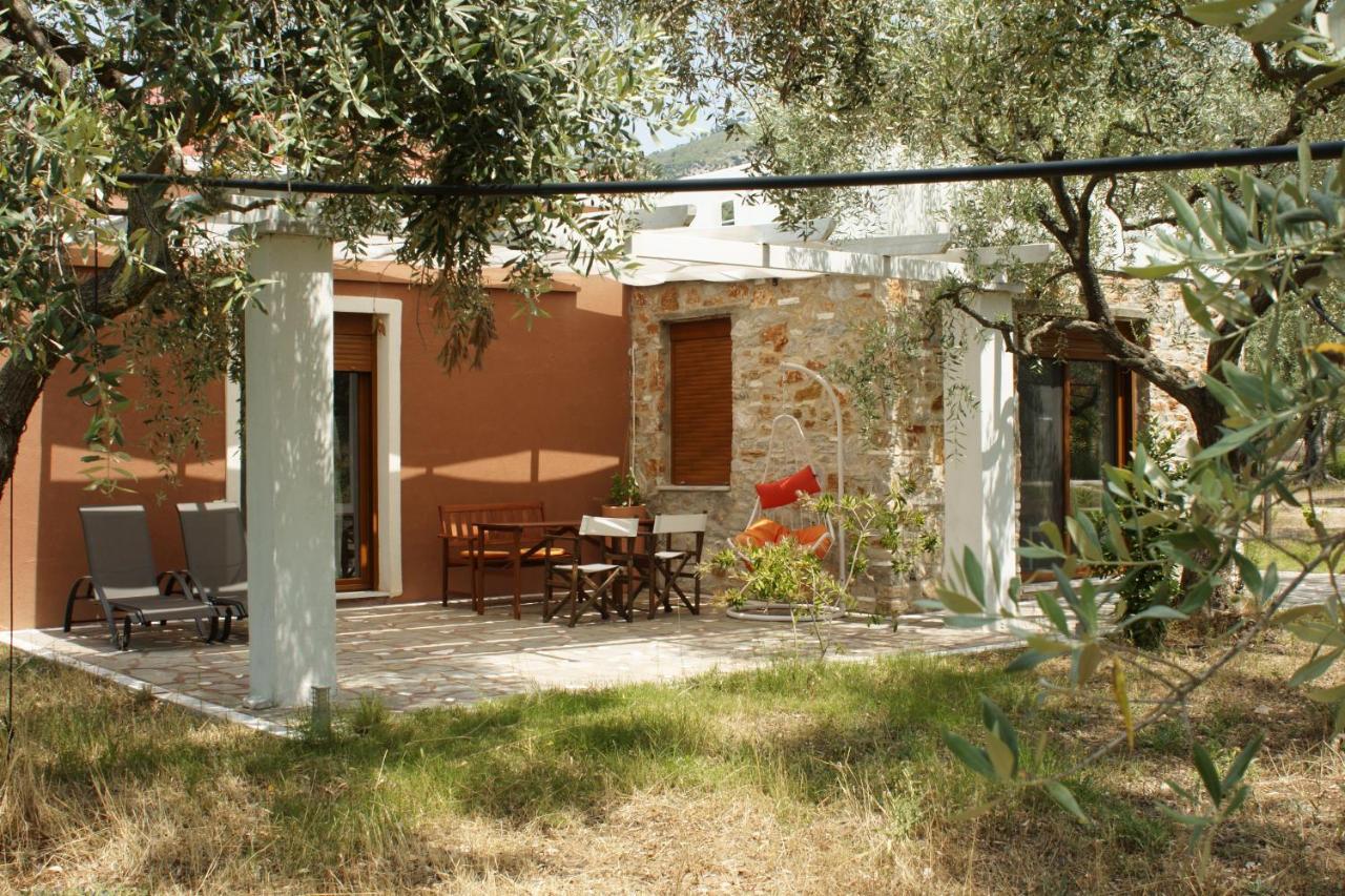 Elea Stone In Organic Quiet Olive Grove, Prinos, Thassos