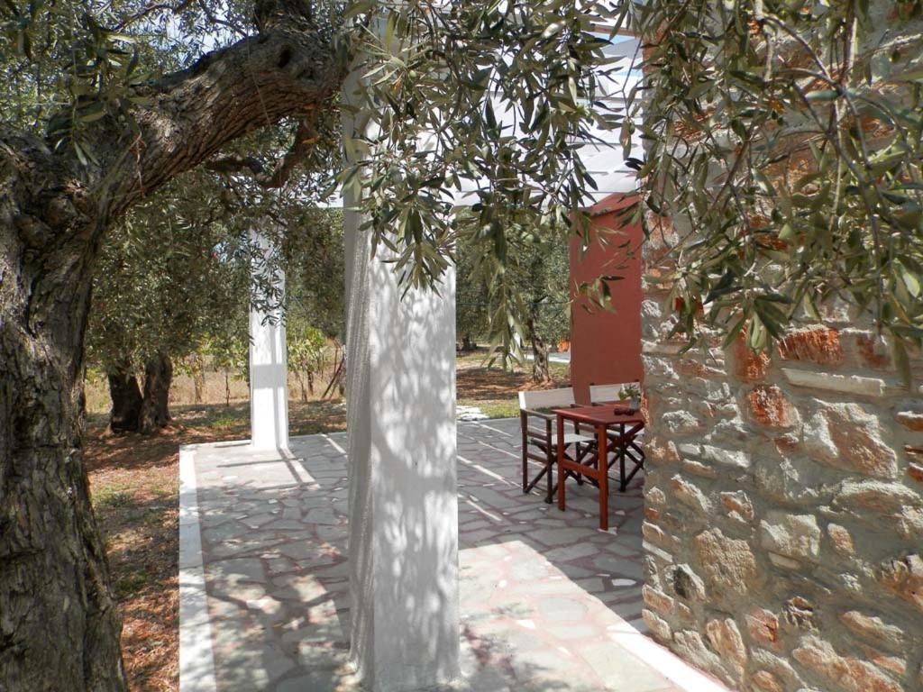 Elea Stone In Organic Quiet Olive Grove, Prinos, Thassos Villa *