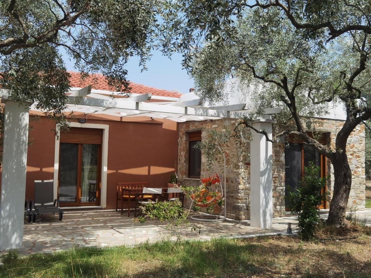 Elea Stone In Organic Quiet Olive Grove, Prinos, Thassos Villa