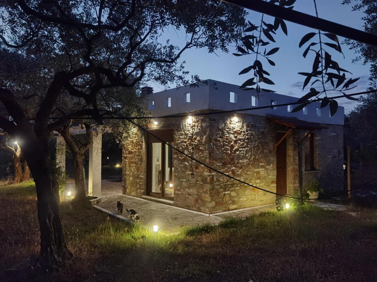 Elea Stone In Organic Quiet Olive Grove, Prinos, Thassos Villa Prinos (Thasos)