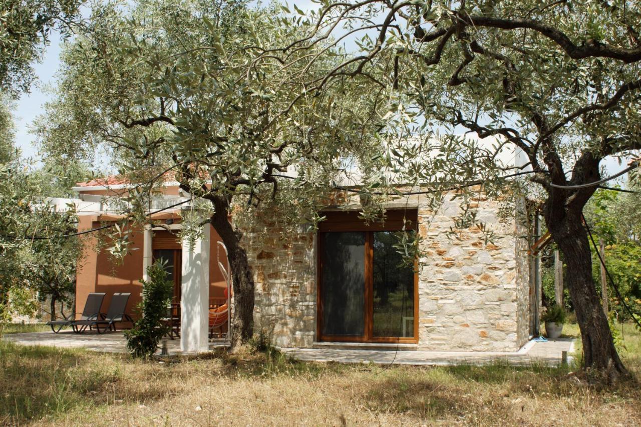 Elea Stone In Organic Quiet Olive Grove, Prinos, Thassos Prinos (Thasos)