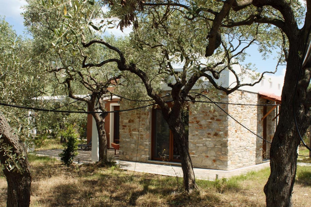 Elea Stone In Organic Quiet Olive Grove, Prinos, Thassos Villa Prinos (Thasos)