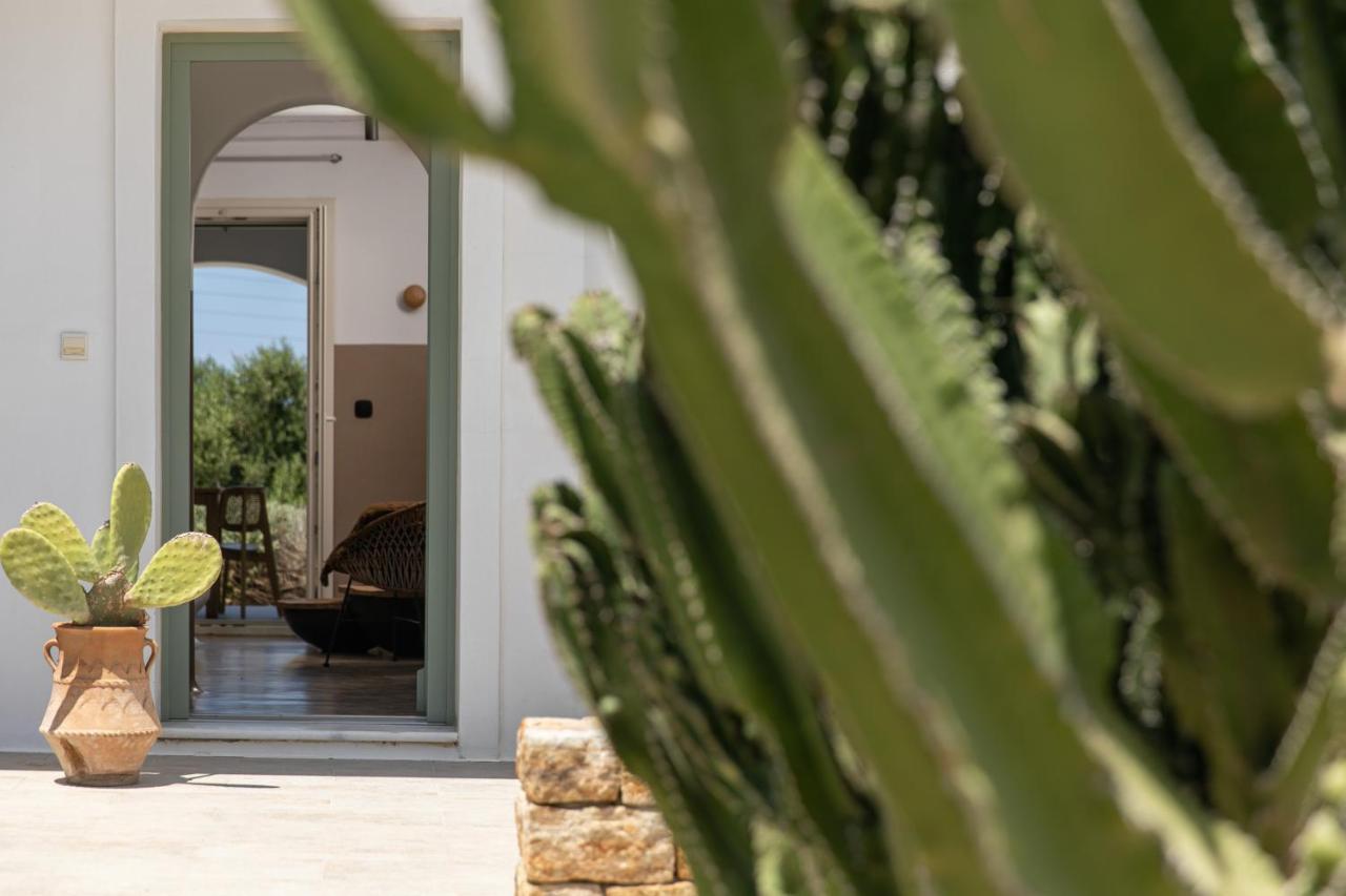 Apartment Naxos Euphoria *