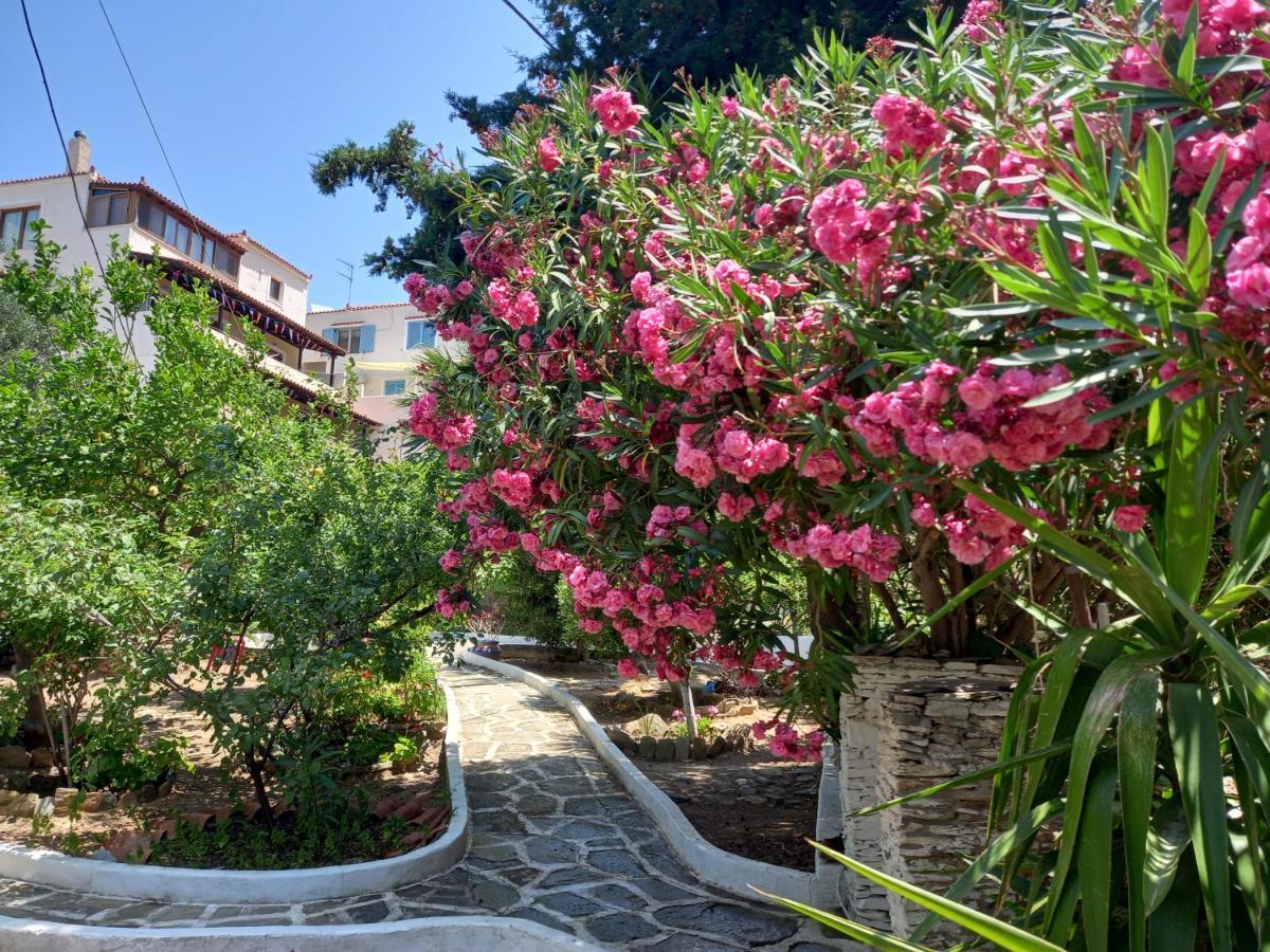 Villa Rena Aparthotel Batsi (Andros)
