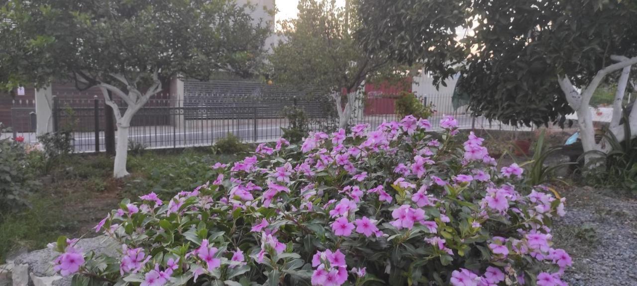 Holiday home Garden Sea Kalamata