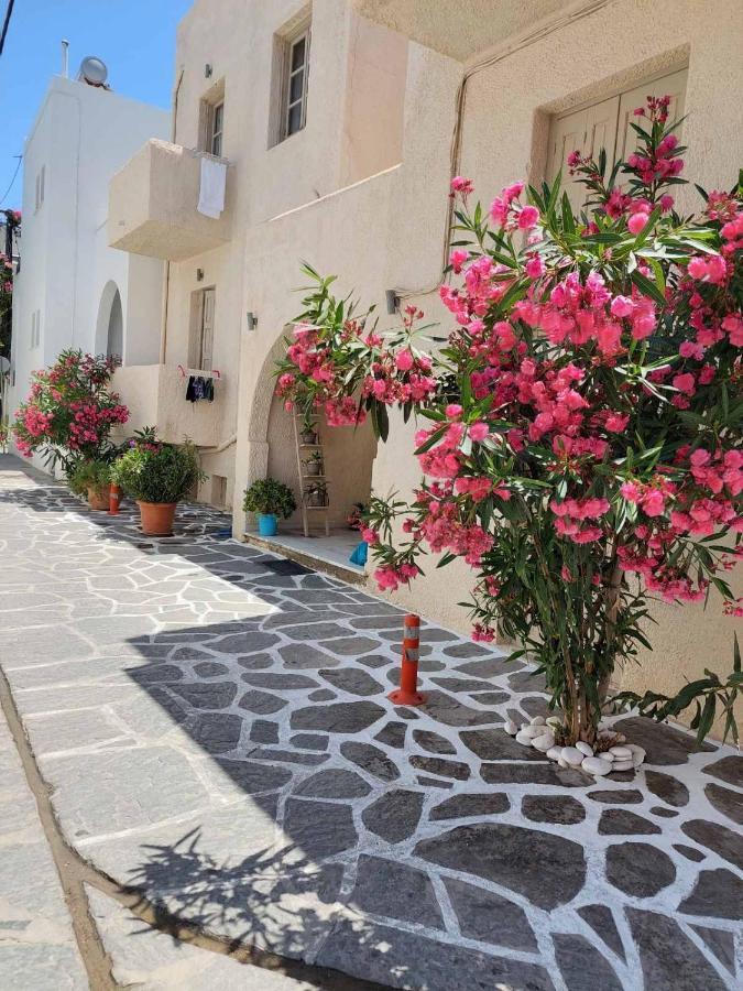 Tsakas Apartment Naxos City