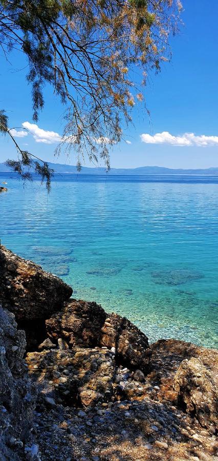 Julia's Kalamata