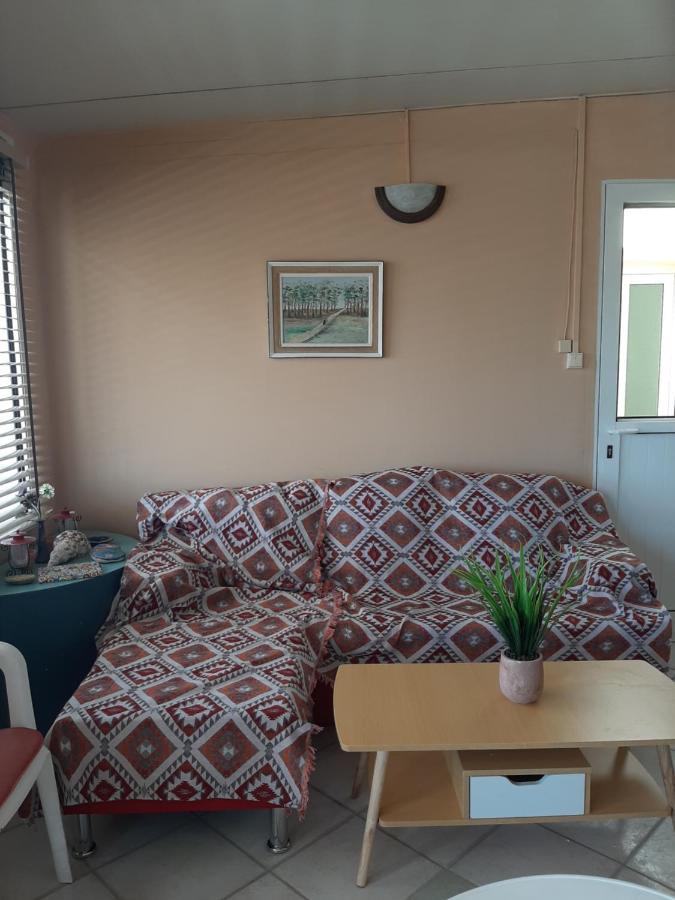 Comfy Near The Sea Apartment