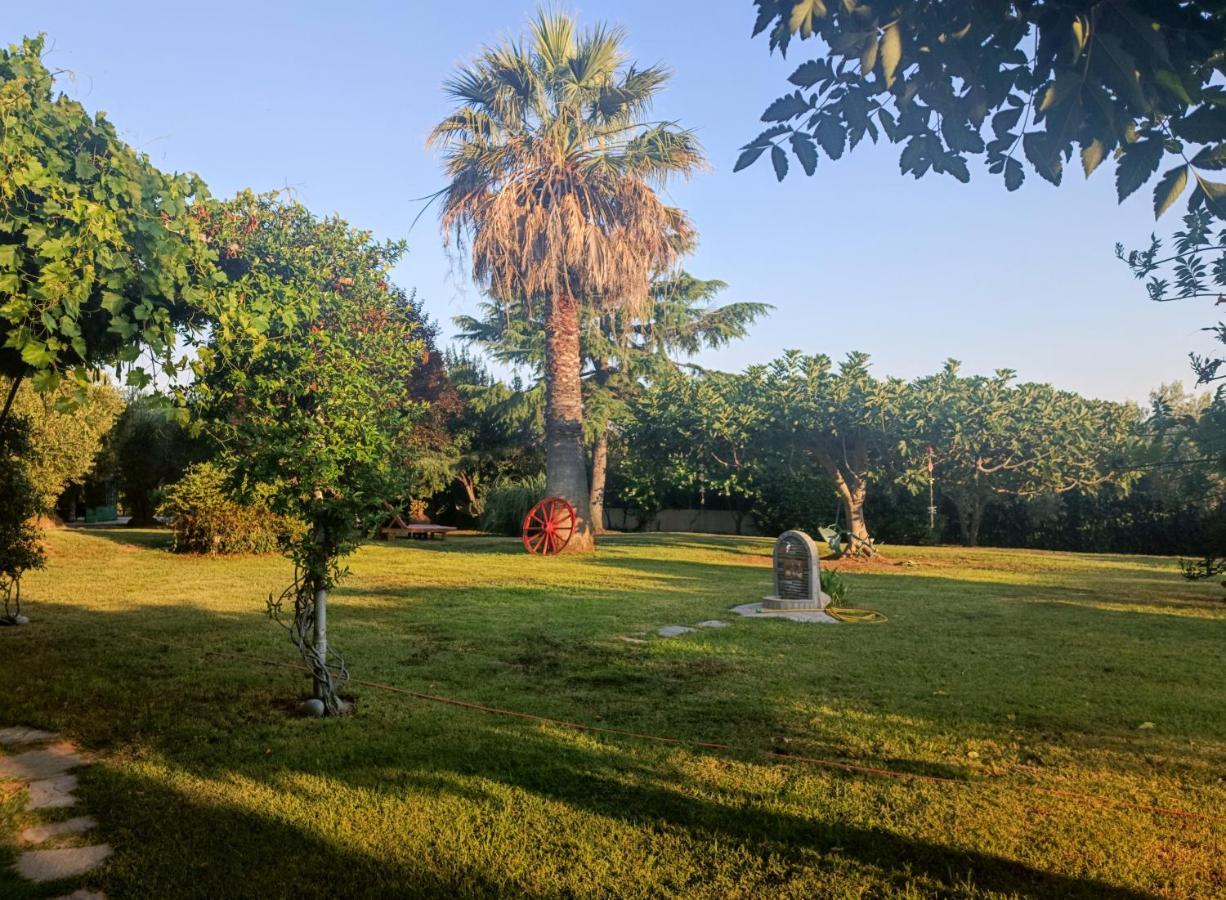 Karpetis A Paradise *