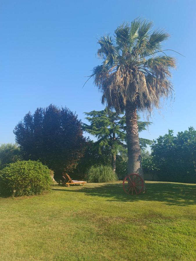 Apartment Karpetis A Paradise *