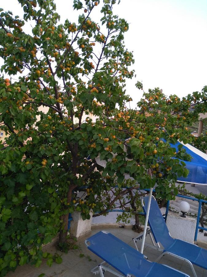 Aparthotel Creta Sun