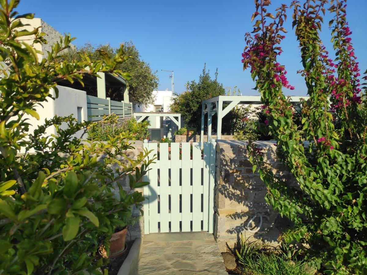 My Little Garden