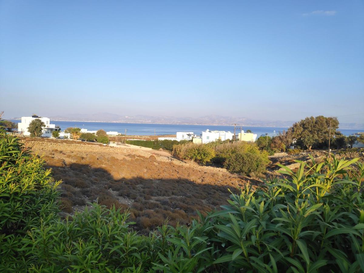 My Little Garden Holiday home Chrisi Akti (Paros)