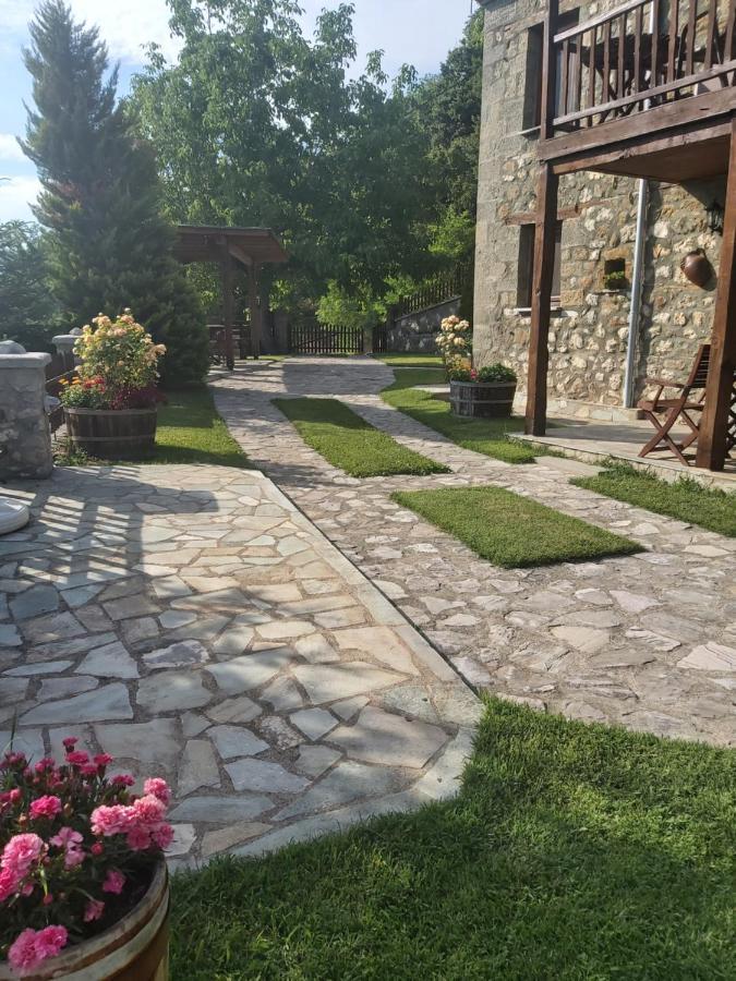 πέτρινο όραμα Guest house *