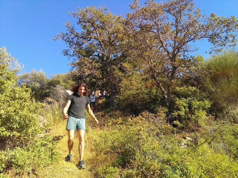 Chios Spitakia *