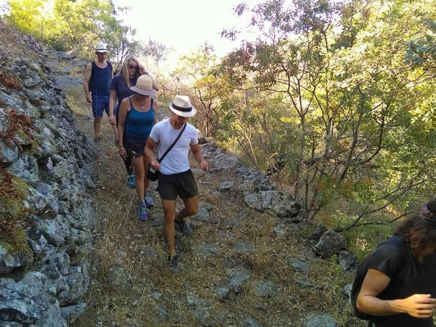 Chios Spitakia