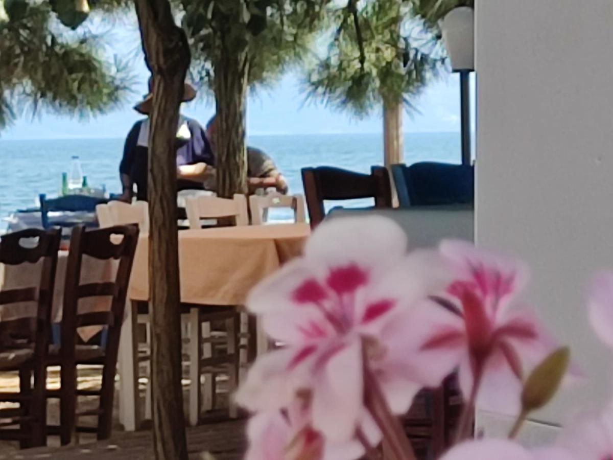 Look To The Sea *