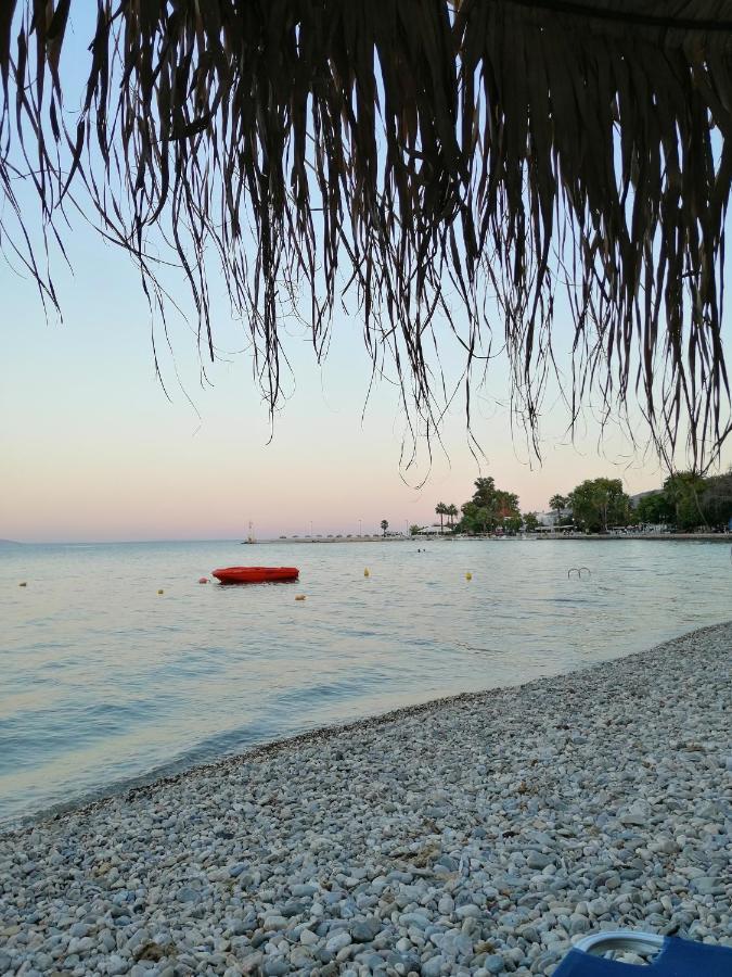 Palataki * Miloi (Argolis)