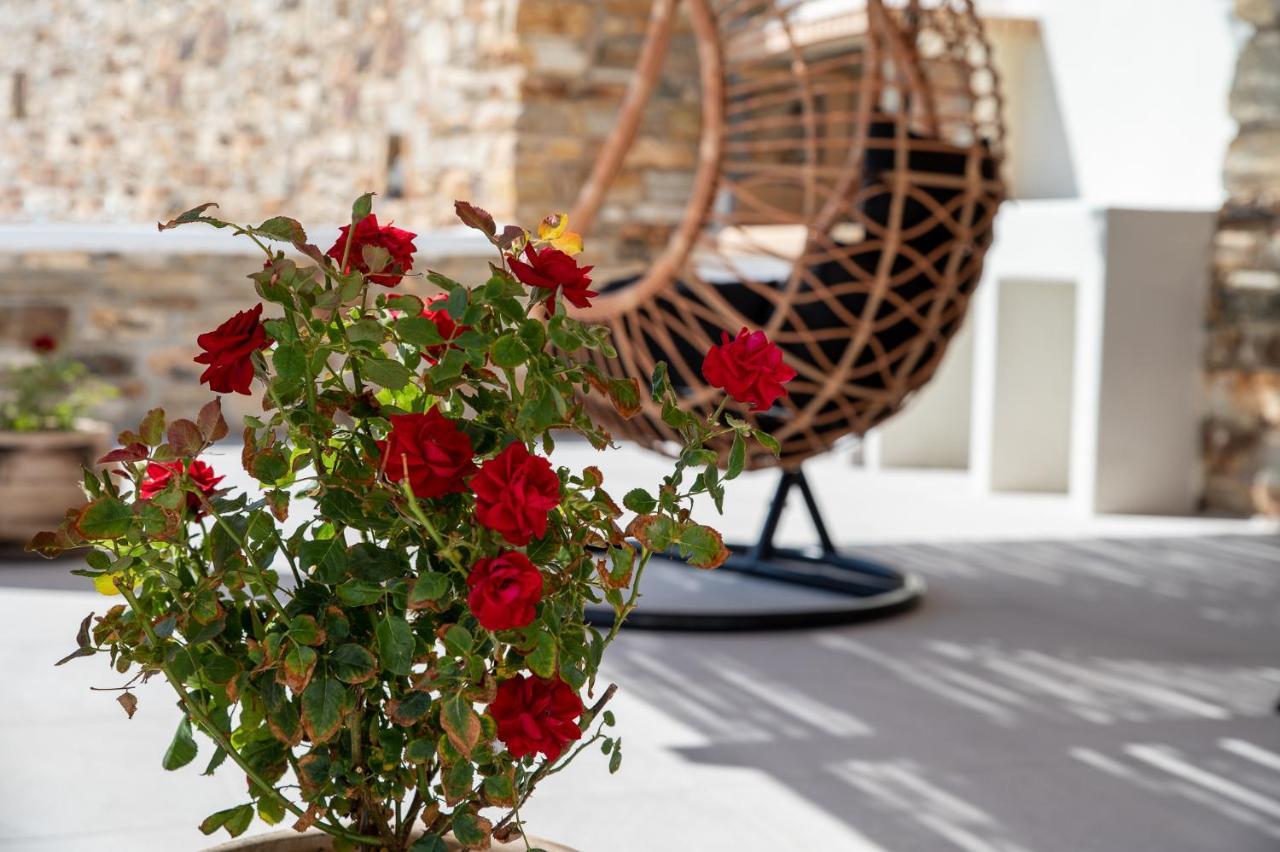 Naxos Skyline Deluxe Agkidia