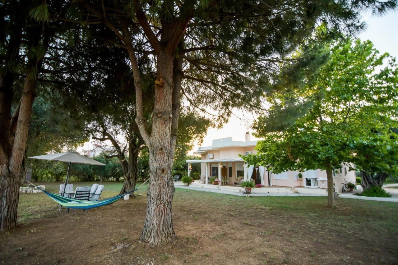Kiani Akti * Preveza