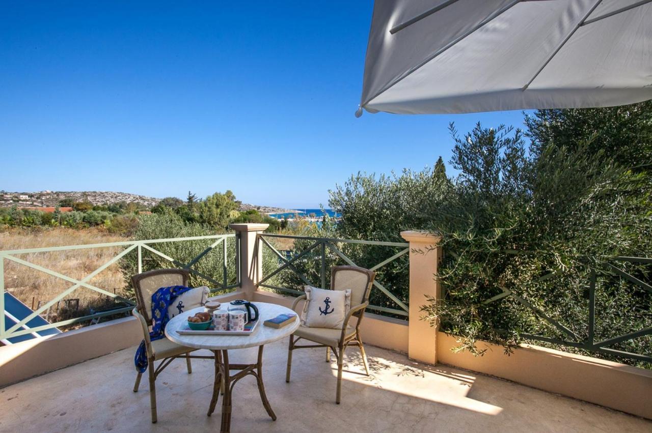 Olive Grove By
