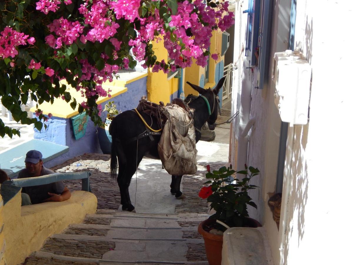ατελιου Vari (Syros)