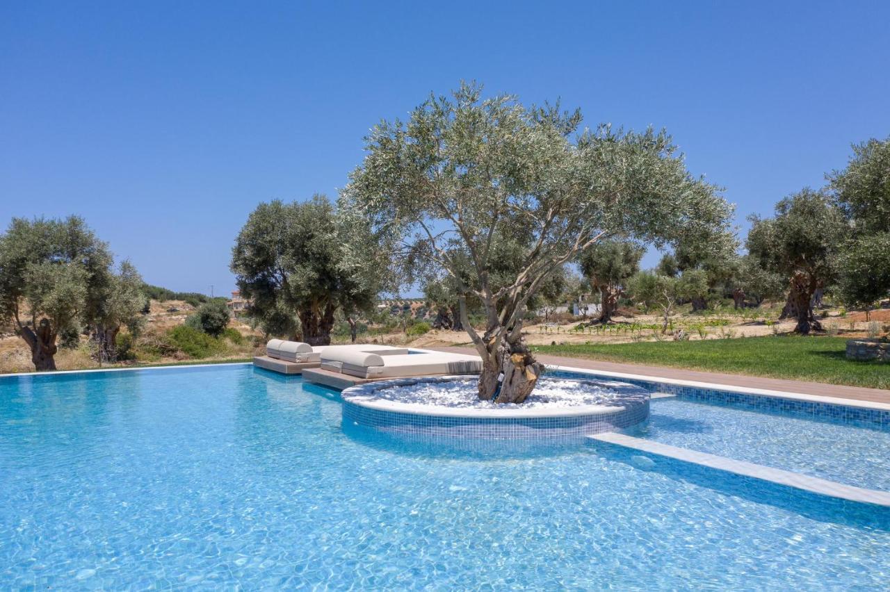 Thyme Prinos (Crete)