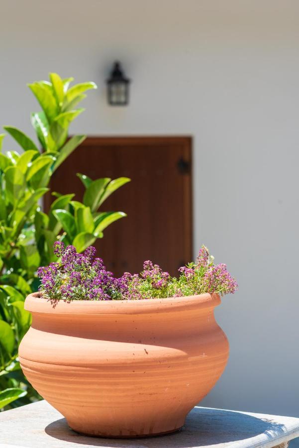 Guest house άλυσσος *