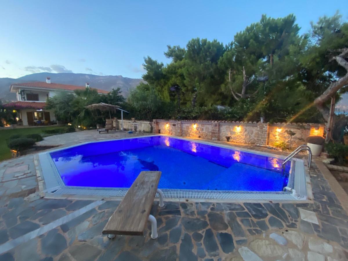 Luxury House Villa *