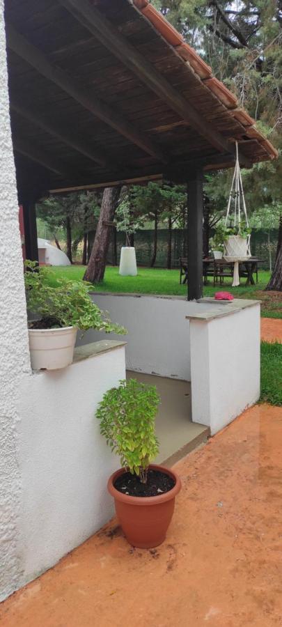Douvas House