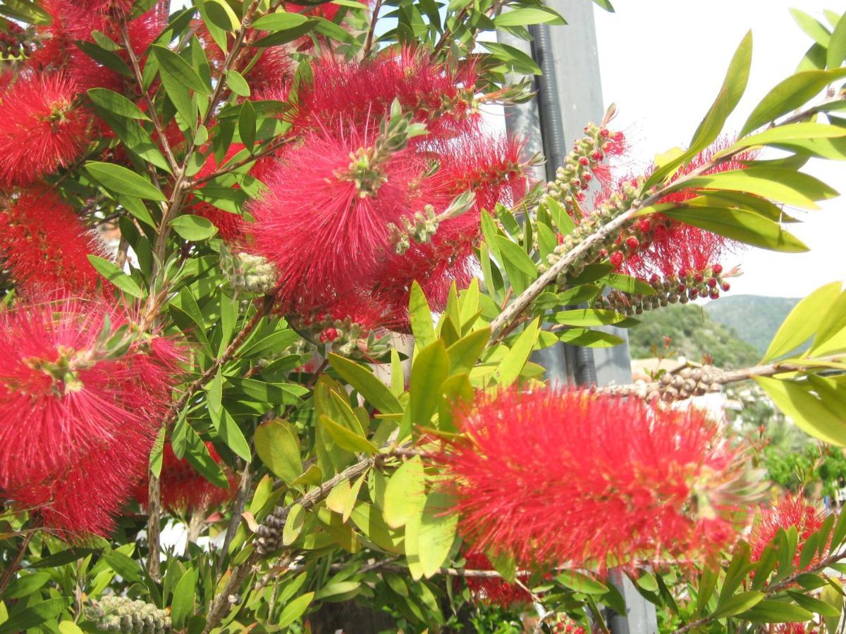 Holiday home Garden *