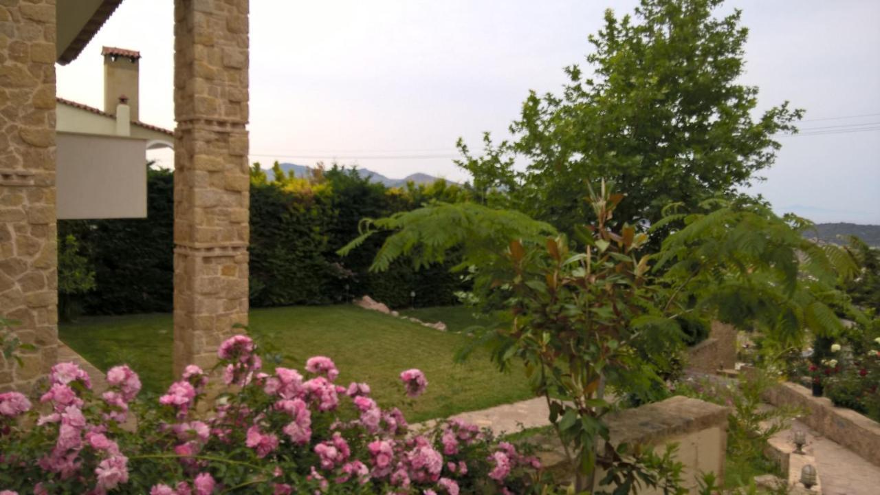 Apartment Platanus Gardenhouse *