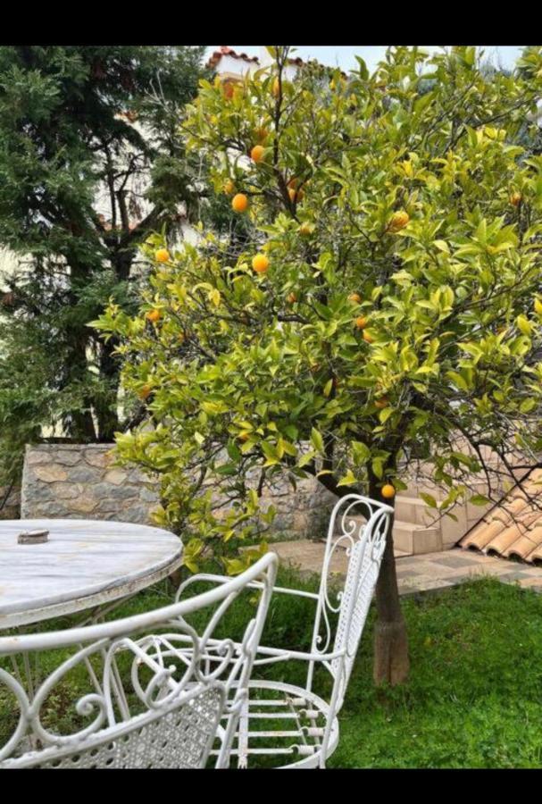 Apartment Sul Mare Chalkida