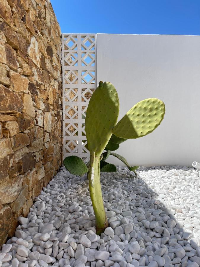 Aparthotel Kastro Antiparos
