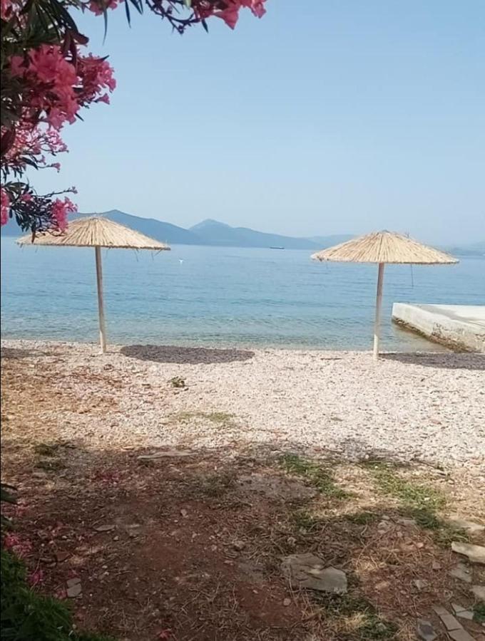 Georgia's * Agia Kiriaki (Magnesia)